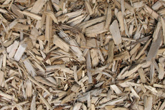 biomass boilers Penplas