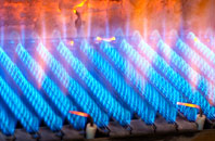 Penplas gas fired boilers